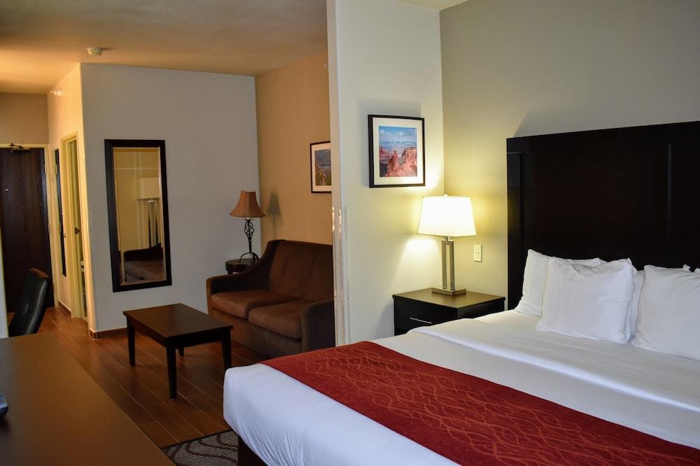 Comfort Inn & Suites Fruita - Grand Junction photo 11