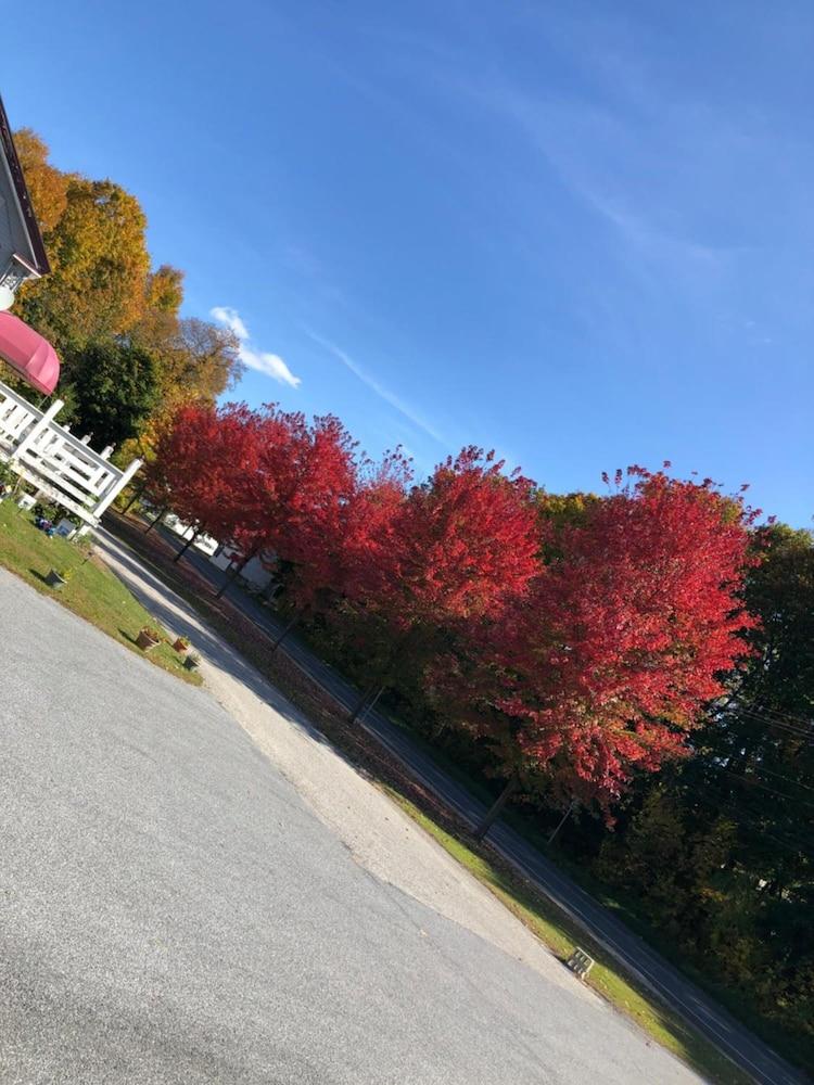 The Autumn Inn photo 4