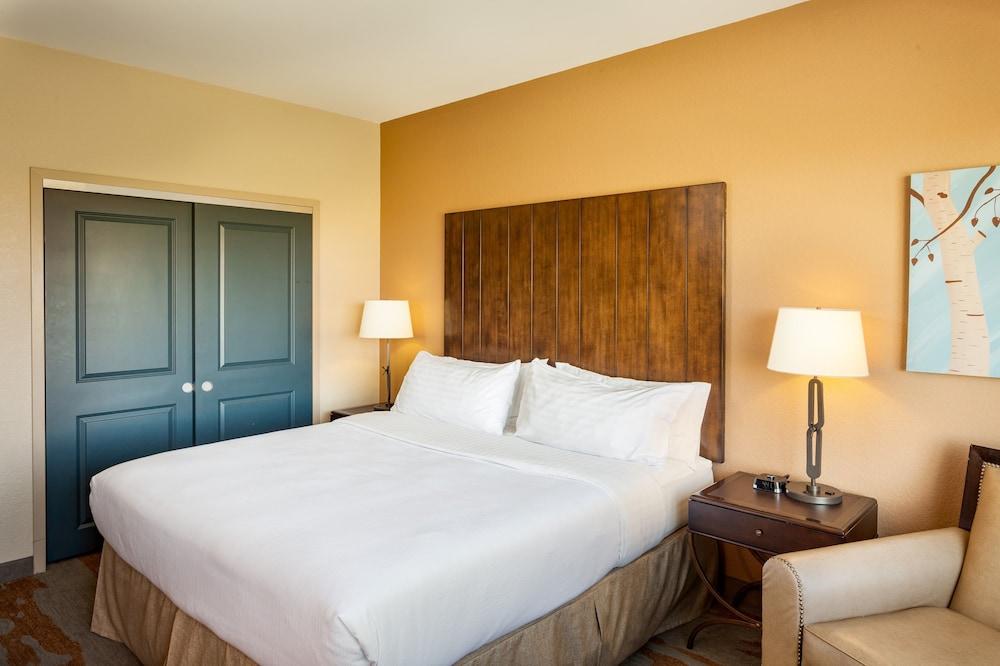 Holiday Inn San Antonio Seaworld by IHG photo 7