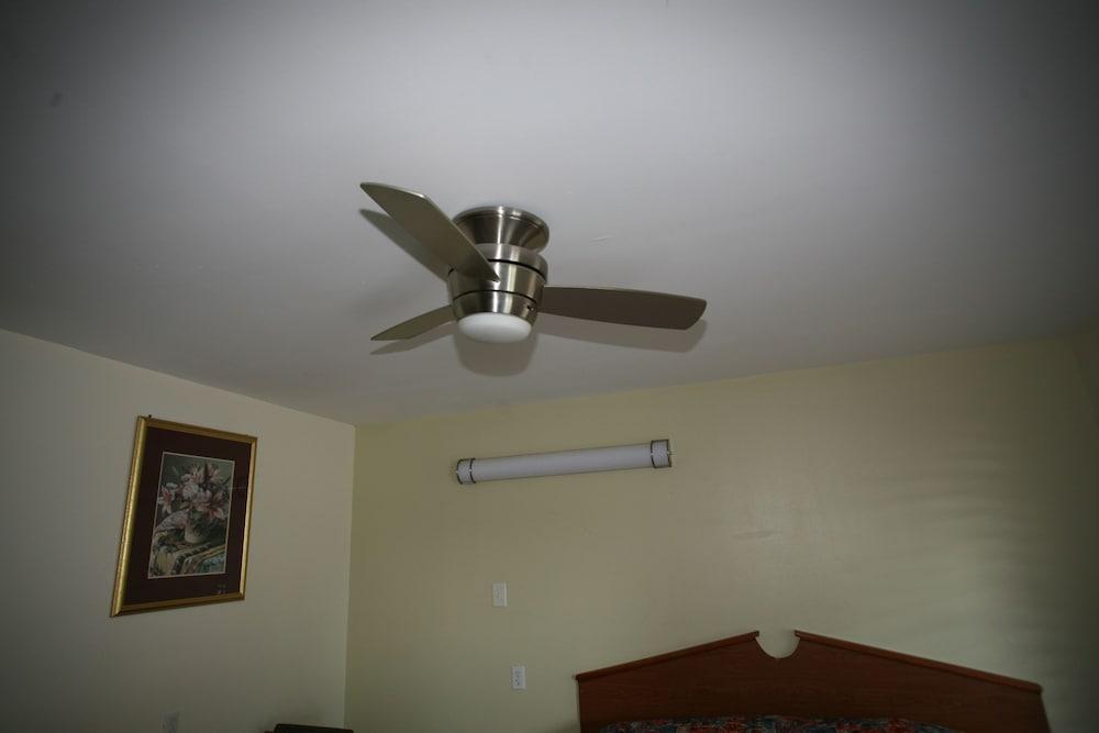 Royal Inn photo 7