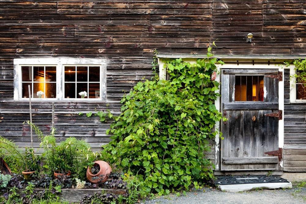 Gedney Farm photo 25