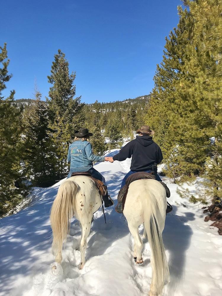 Dream Haven Guest Ranch photo 3