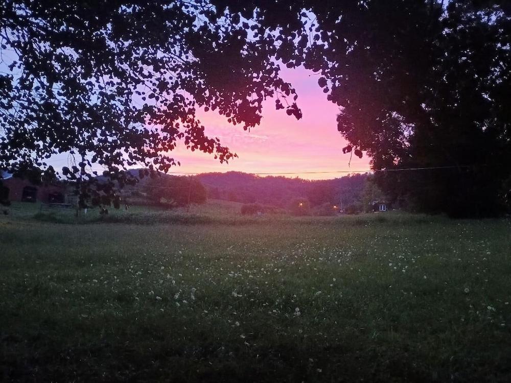 Wild Mountain Lodge photo 20