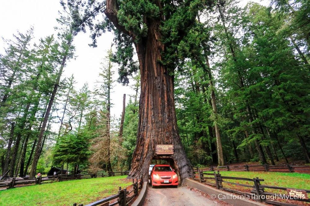 Redwoods River Resort photo 84
