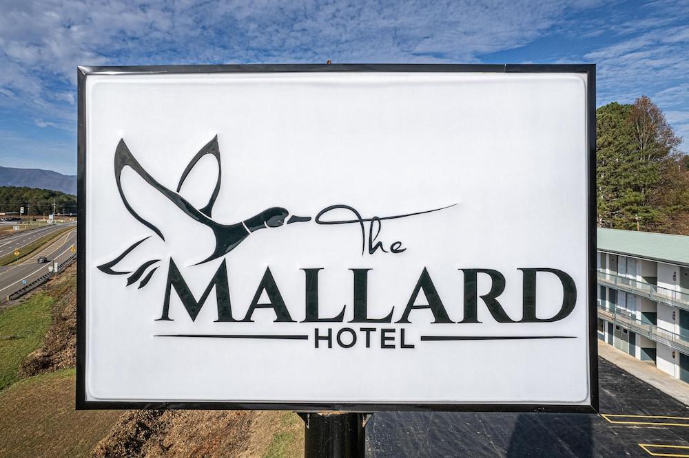 The Mallard Hotel photo 47
