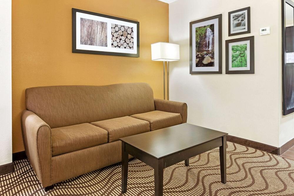 La Quinta Inn & Suites by Wyndham Tampa North I-75 photo 3