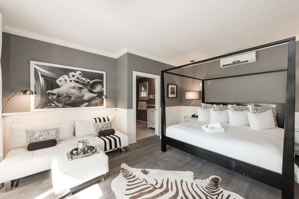 Alexanders Guesthouse - Adult Exclusive, LGBTQ Friendly photo 13