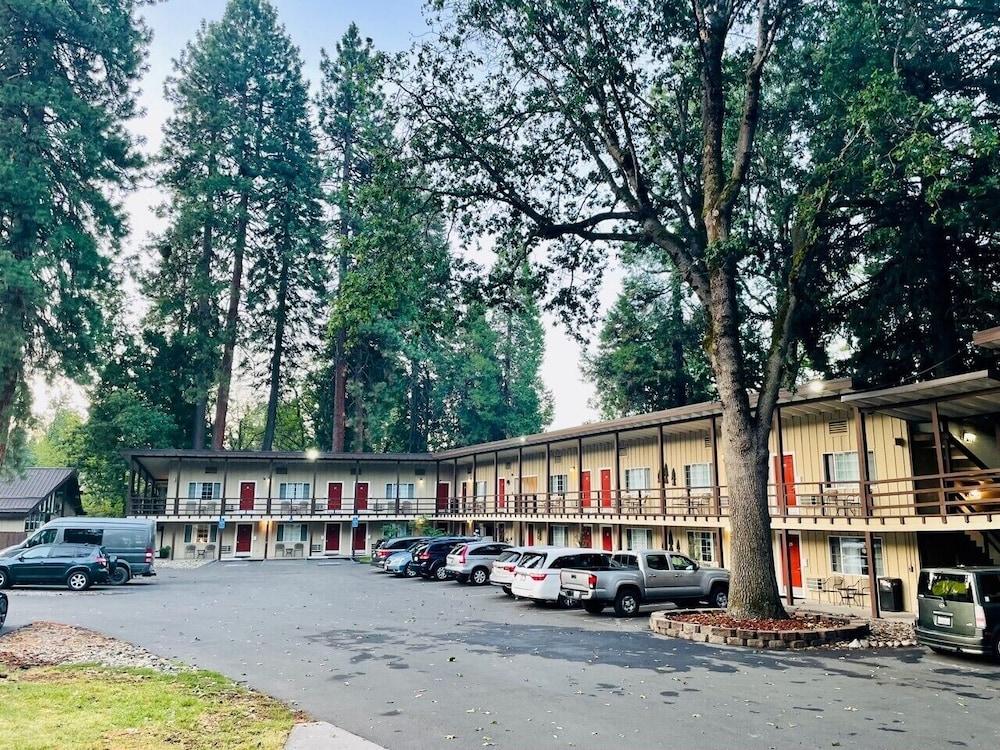 Shasta Inn photo 18