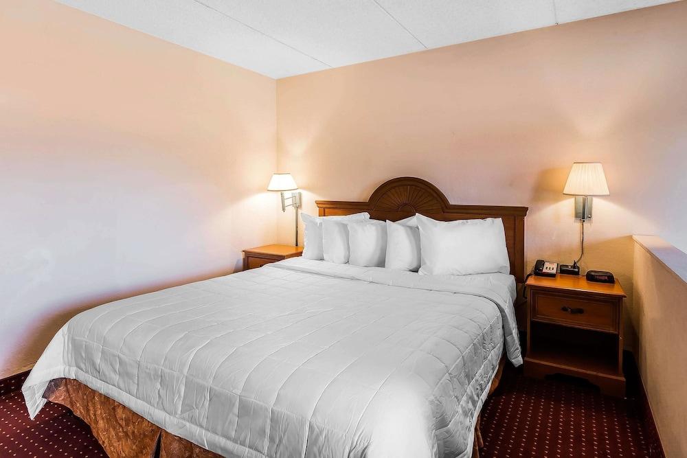 Econo Lodge Lavonia I-85 photo 12