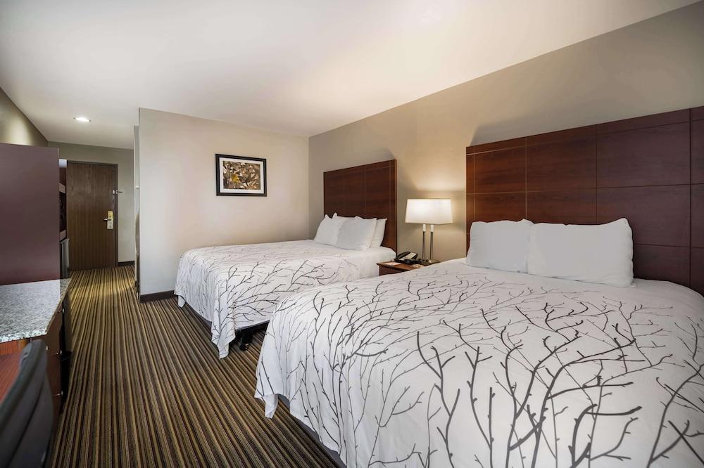 Best Western Park Oasis Inn photo 16