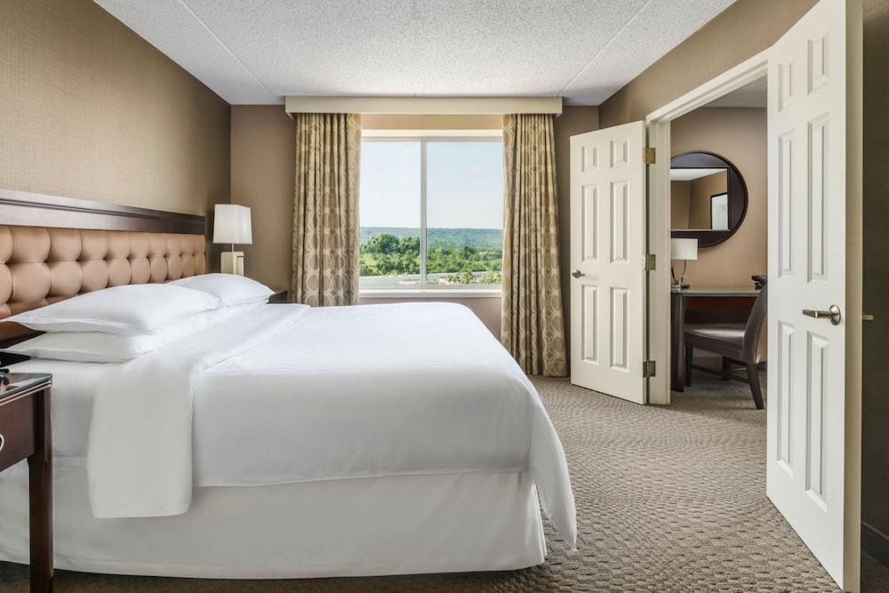 Sheraton Great Valley Hotel photo 35