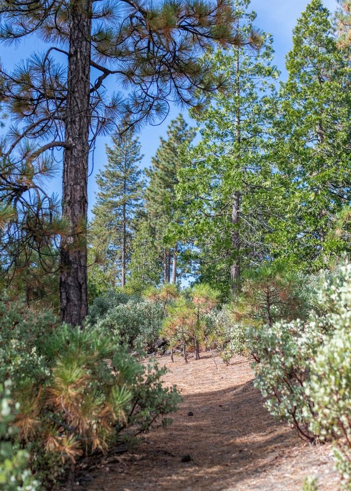 Inn at Sugar Pine Ranch photo 22