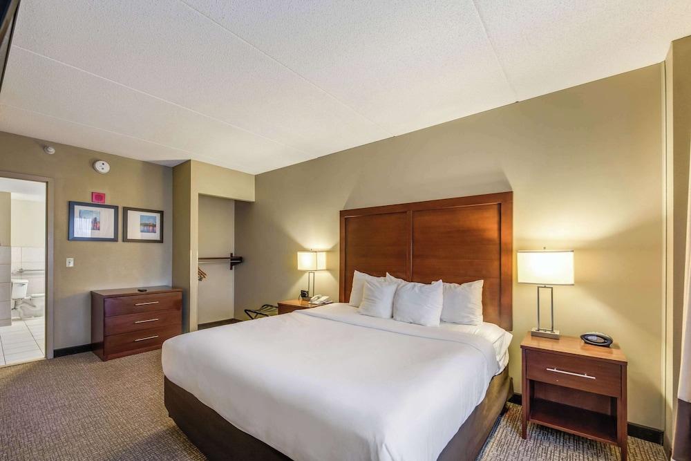 Comfort Suites Chicago O'Hare Airport photo 35