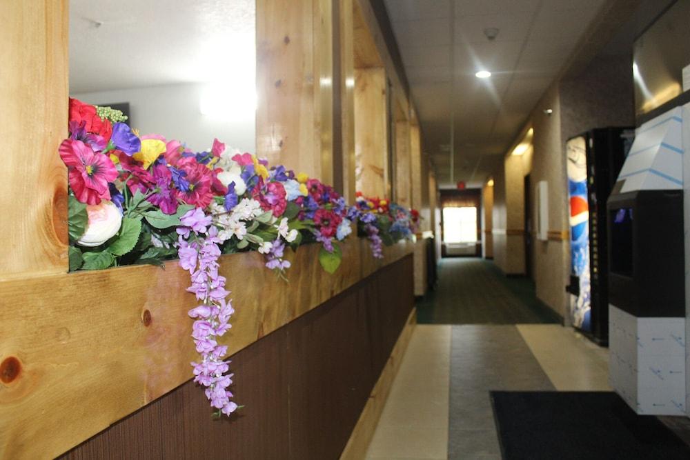 Pier Inn photo 2
