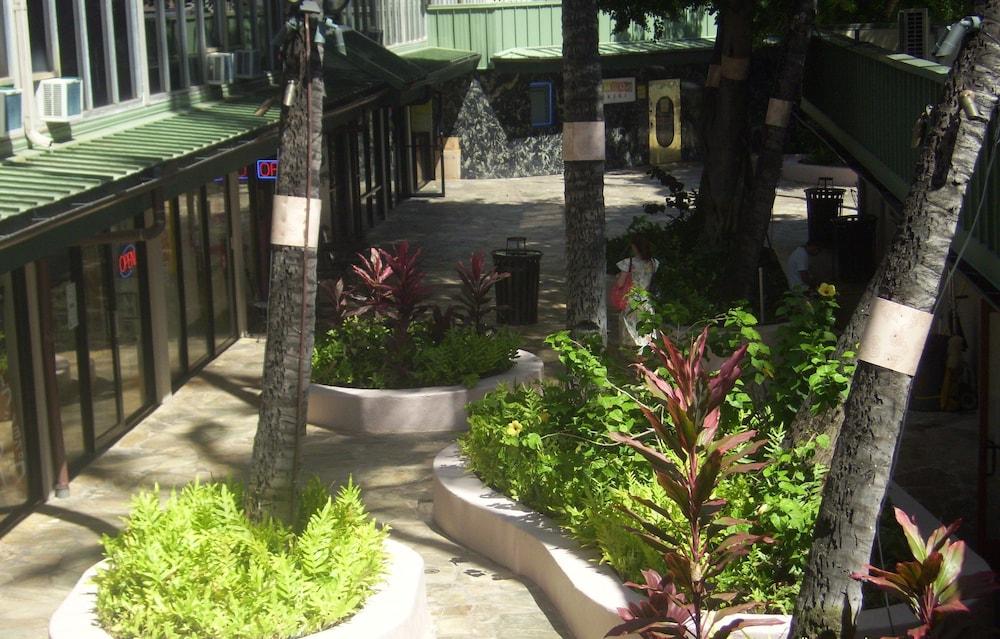 Kuhio Banyan Club photo 47