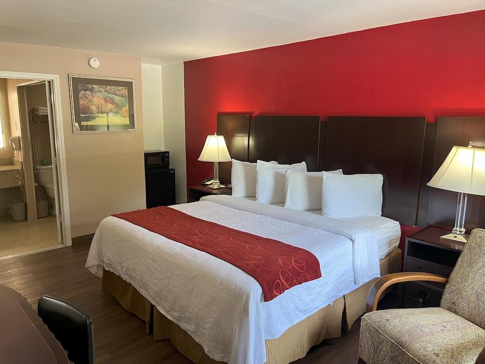 Pine Tree Inn photo 18