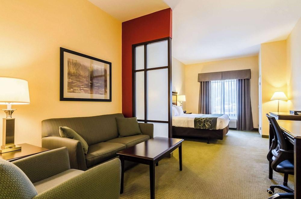 Comfort Suites Gothenburg South photo 7