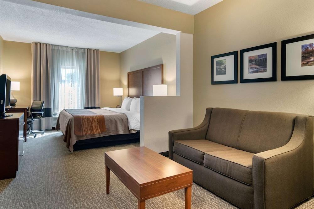 Comfort Inn & Suites Suwanee - Sugarloaf photo 18