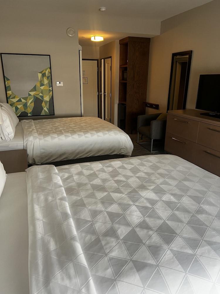 Holiday Inn & Suites Houston NW - Willowbrook by IHG photo 7