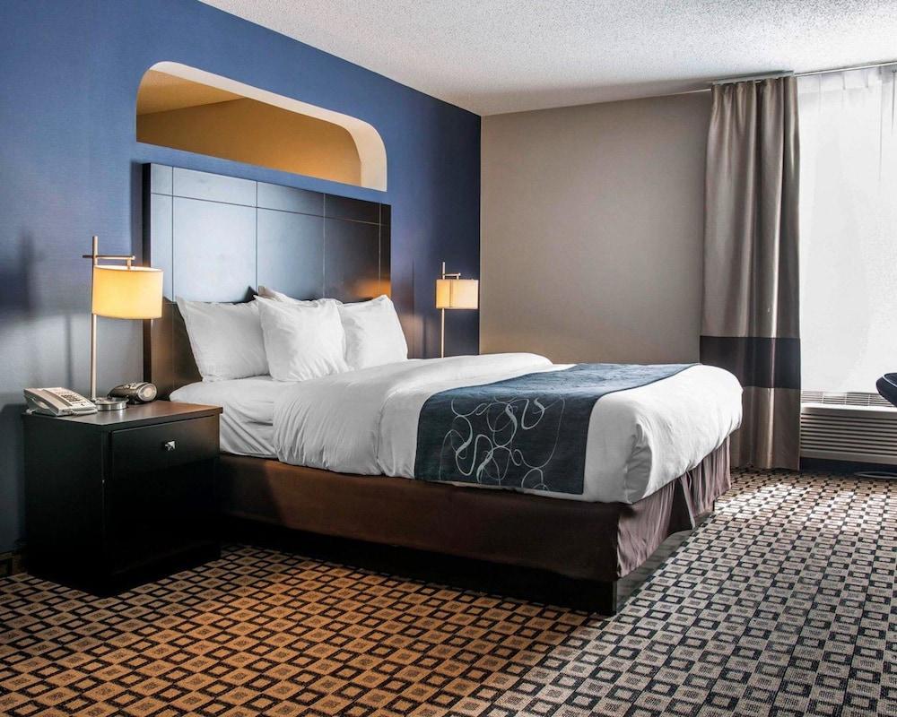 Comfort Suites Benton Harbor - St. Joseph photo 20