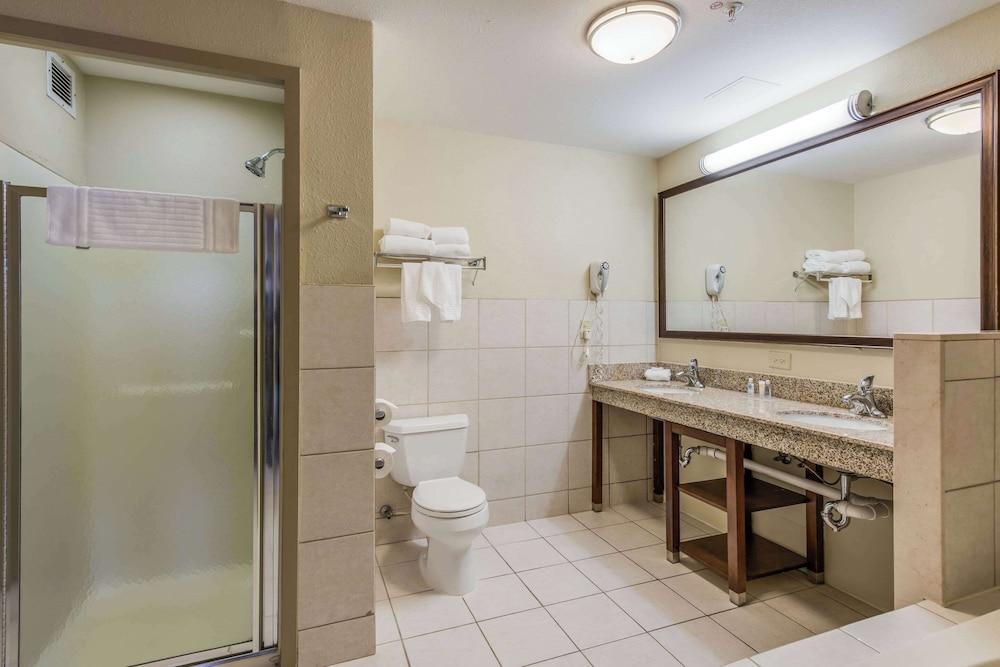 Comfort Suites Chicago O'Hare Airport photo 13