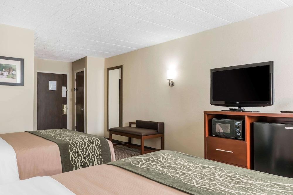 Comfort Inn - Pocono Mountains photo 29