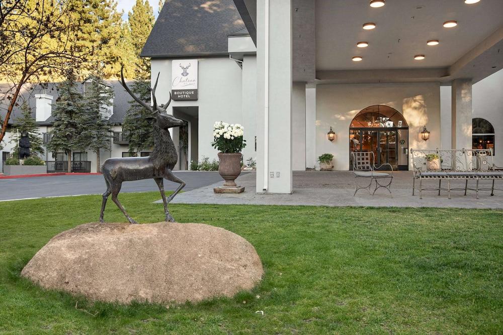 Chateau Big Bear Boutique Hotel, BW Signature Collection photo 63