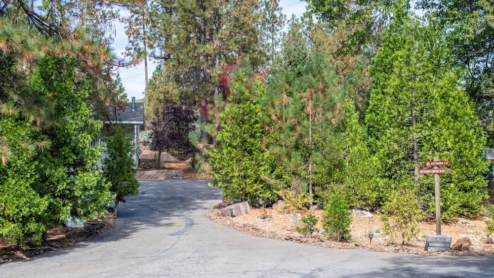 Inn at Sugar Pine Ranch photo 23