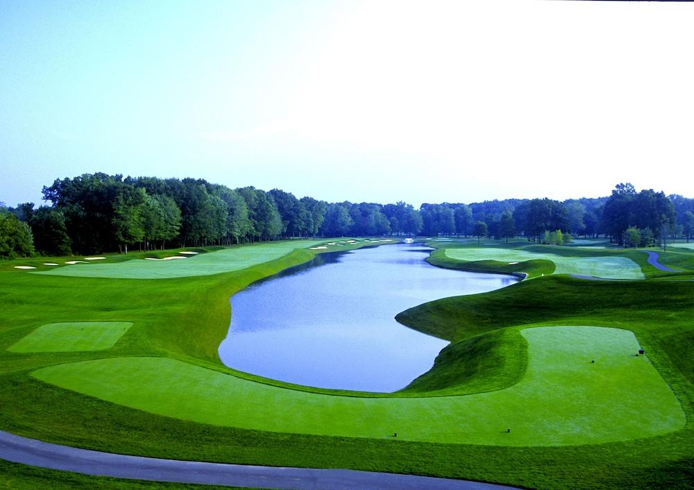 The Grand Resort photo 56