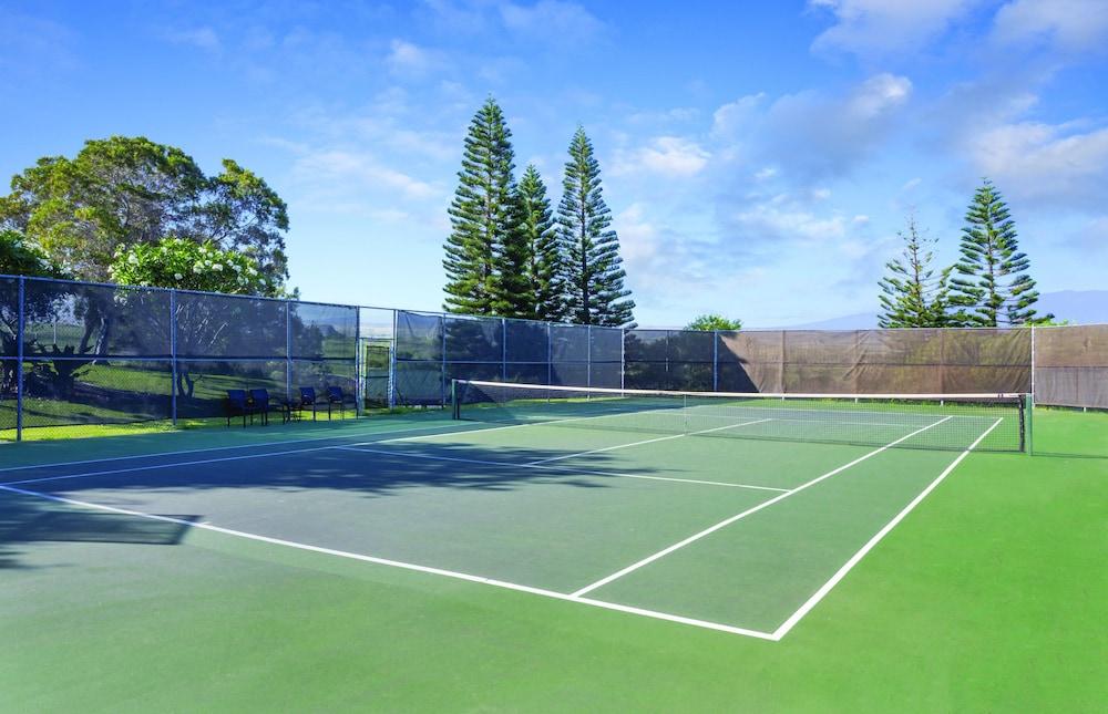 Paniolo Greens At Waikoloa photo 48