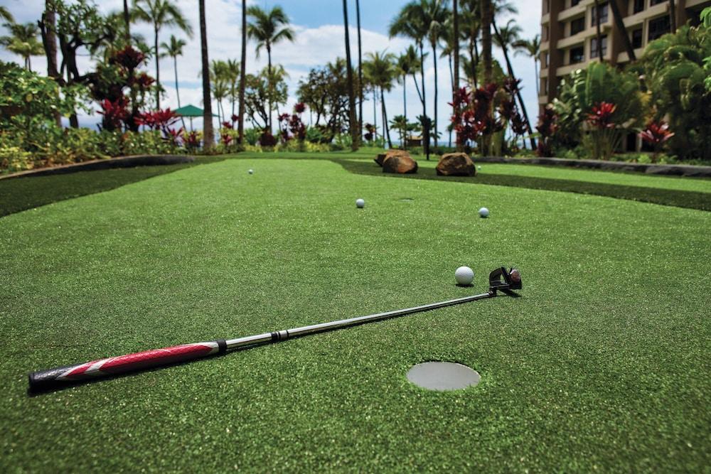 Marriott's Maui Ocean Club - Lahaina & Napili Towers photo 23
