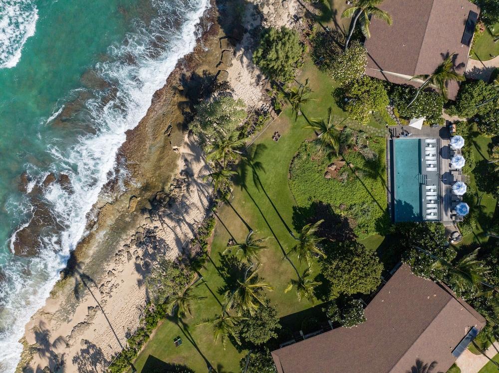 Ocean Bungalows at Turtle Bay Resort photo 16