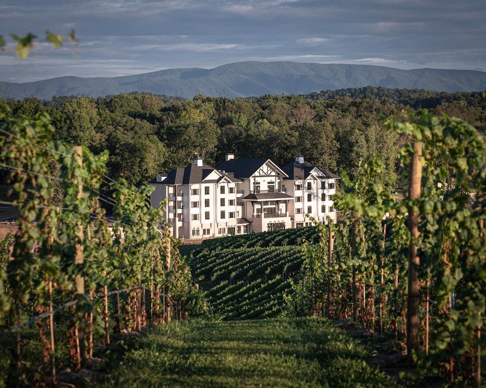 Nicewonder Farm & Vineyard photo 1