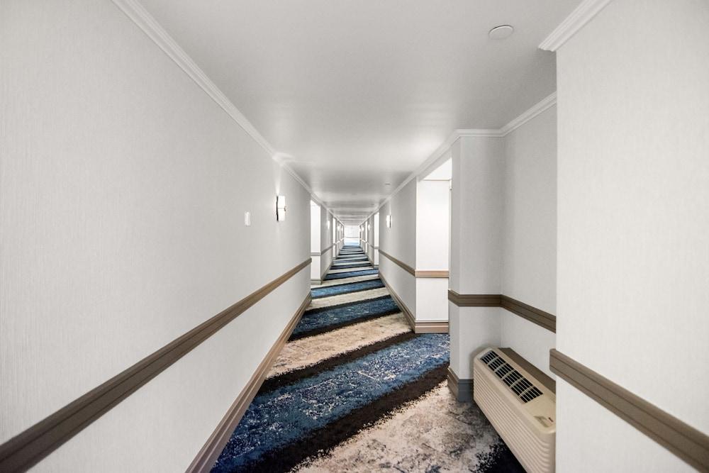 Miami Lakes Hotel photo 17