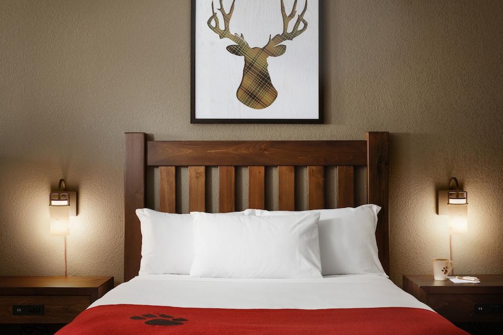 Great Wolf Lodge Boston / Fitchburg, MA photo 2