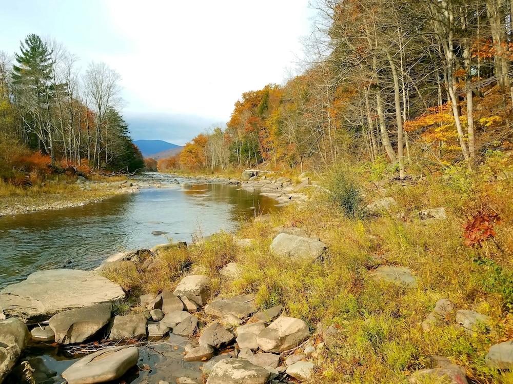 Black Bear Lodge photo 33