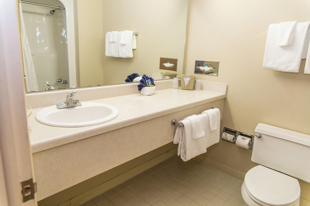 The Inn at Snowshoe photo 3