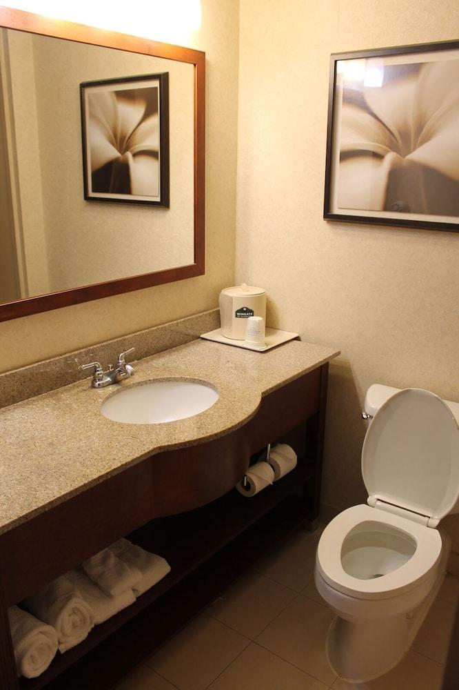 Comfort Inn & Suites Columbus North photo 13