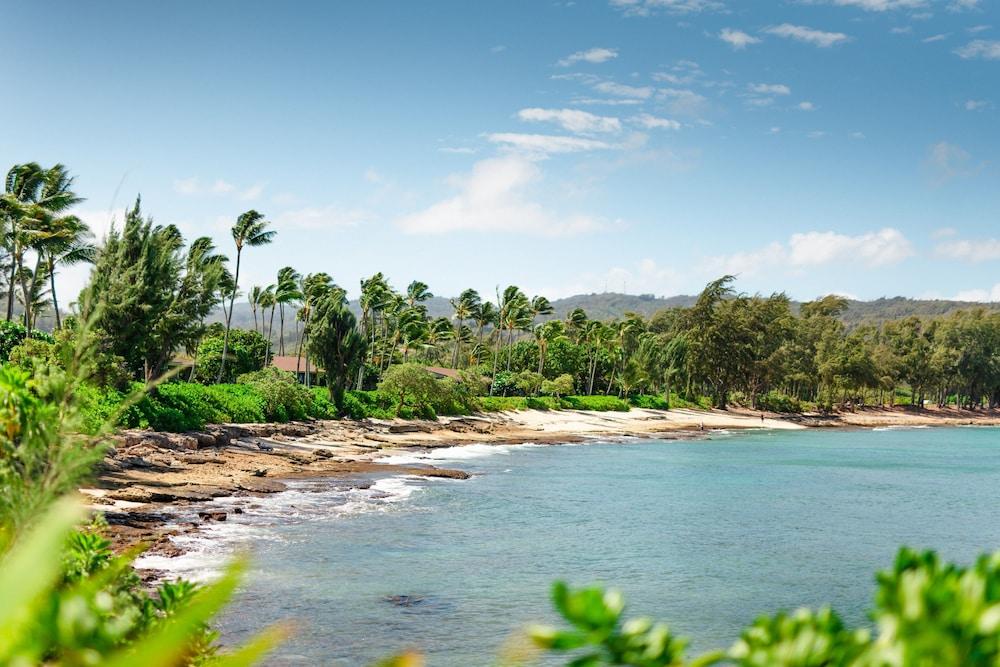 Ocean Bungalows at Turtle Bay Resort photo 11