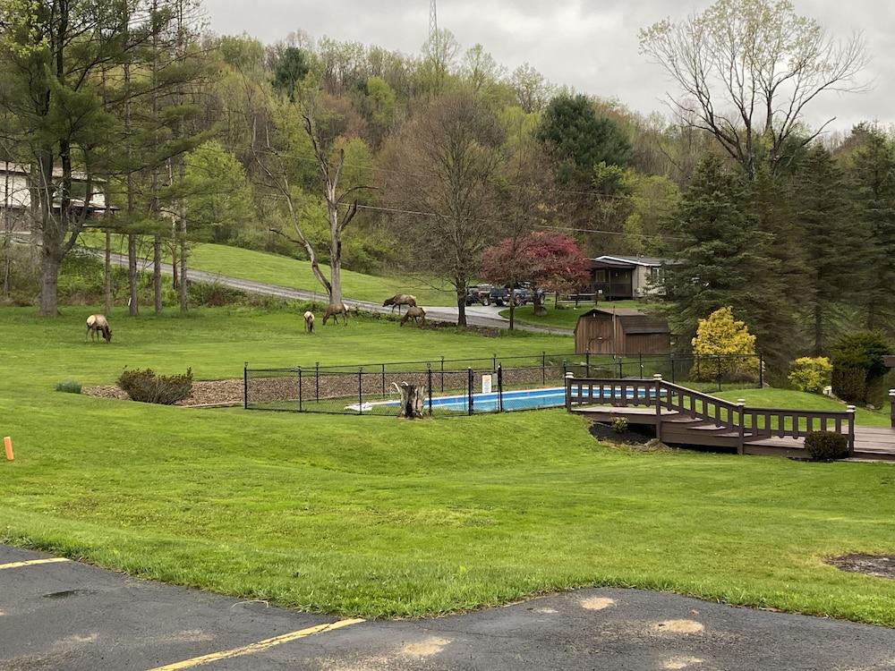 Bennetts Valley Elk Country Inn photo 31