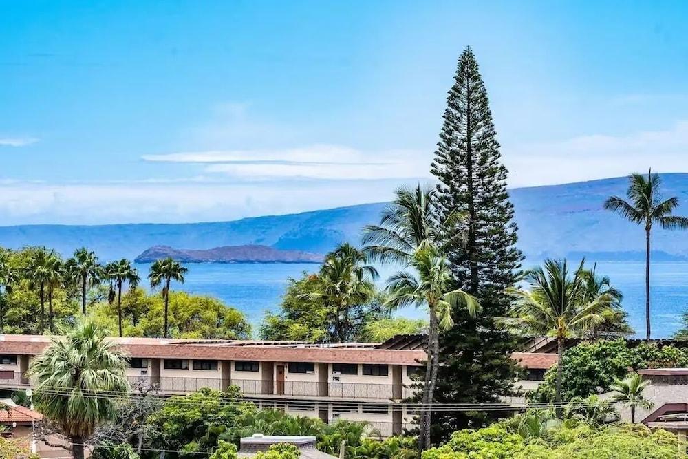 Signature Residences at Maui Banyan photo 18
