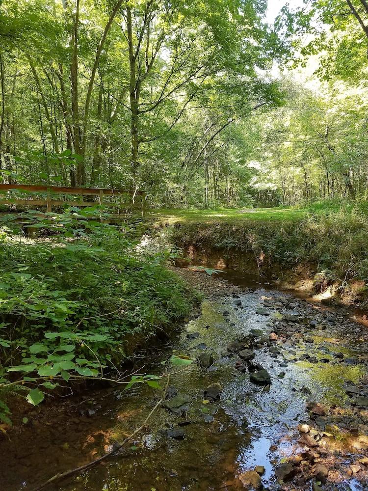 Barren River Lake State Resort Park photo 49