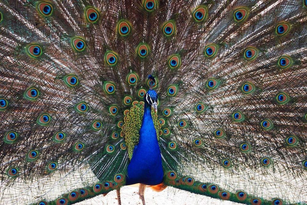 Home2 Suites by Hilton Saginaw, MI photo 30
