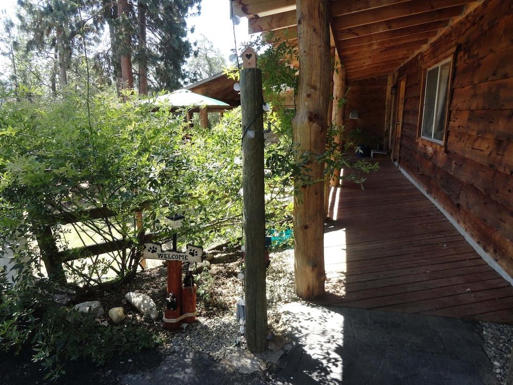 Evergreen Haus photo 74