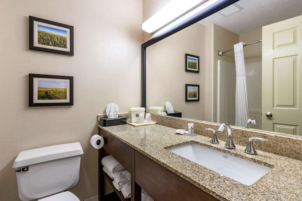 Comfort Inn Great Falls South photo 17