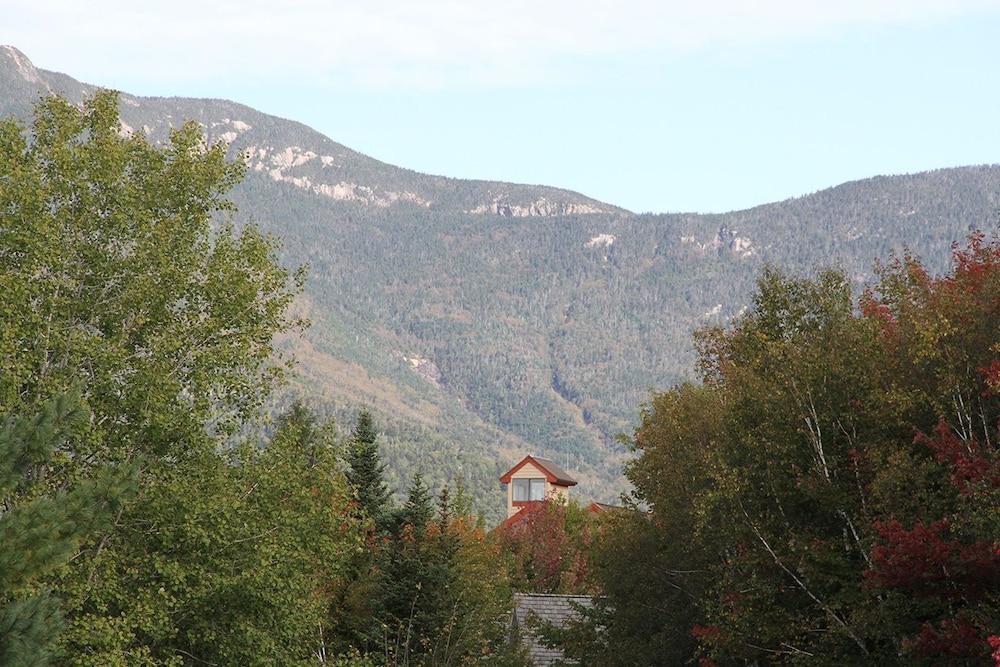 Black Bear Lodge photo 38