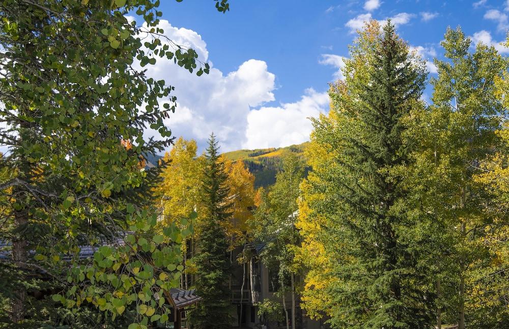 Highlands Lodge in Beaver Creek by Elevation Accommodations photo 8