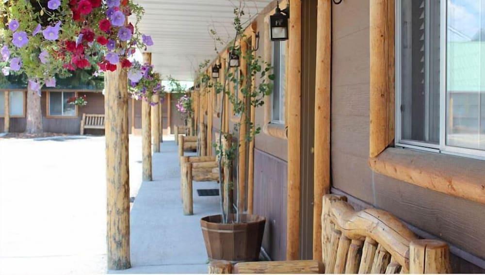 The Evergreen photo 40