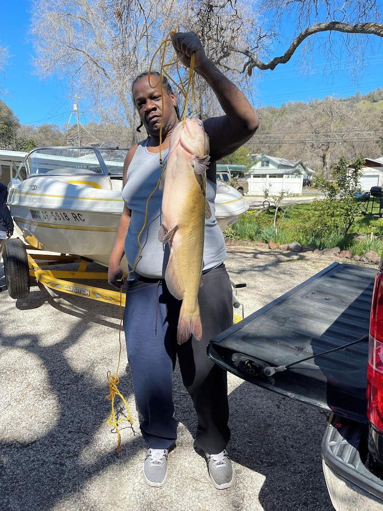 OMEO Clearlake Oaks photo 39