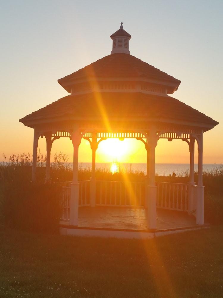Illinois Beach Hotel photo 23